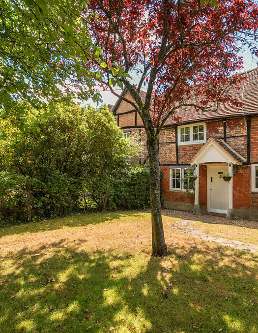 This picture loads on non-supporting browsers.